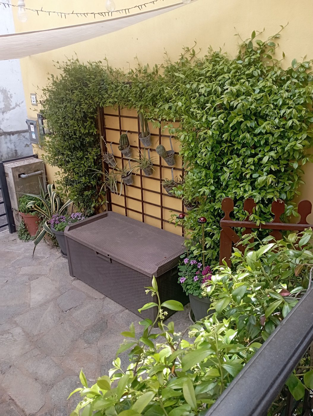 Angolo verde e riservato del cortile
