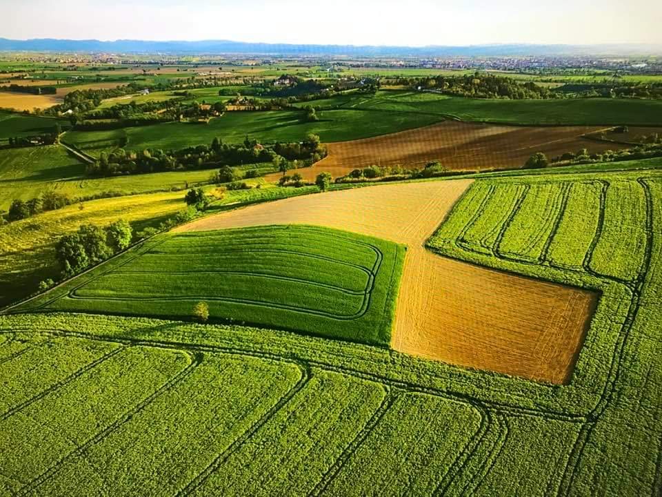 Campagna del Monferrato vista dall'alto